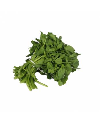 Vegetables